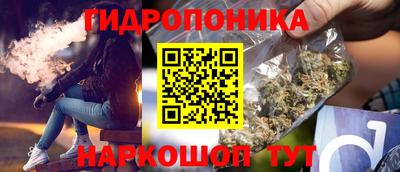 крисы Бузулук