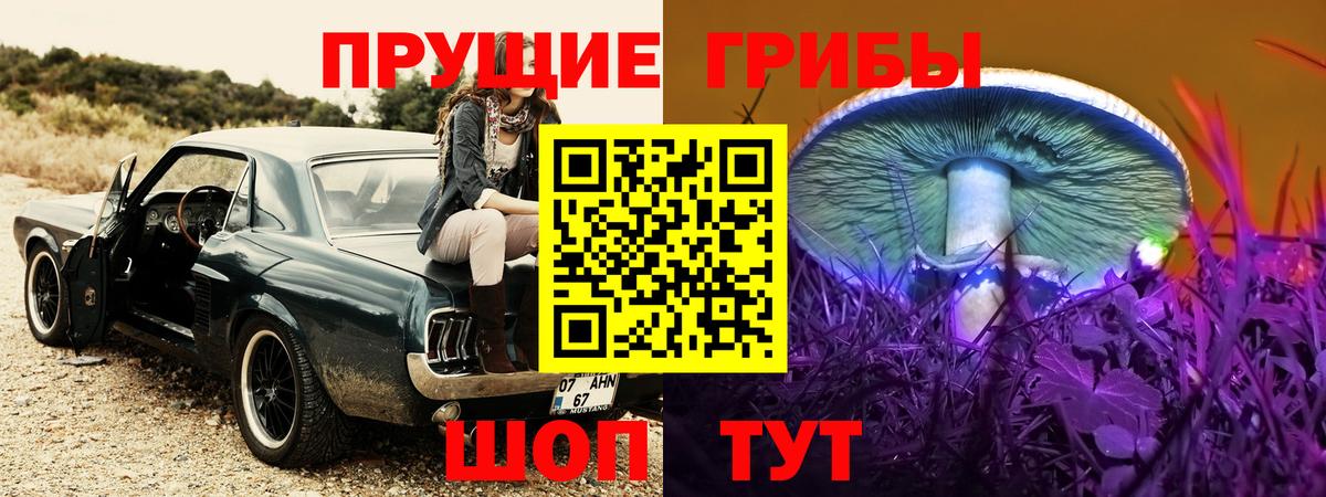 Псилоцибиновые грибы мухоморы  Псилоцибиновые грибы Psilocybine cubensis  Вход с VPN  Ухта 