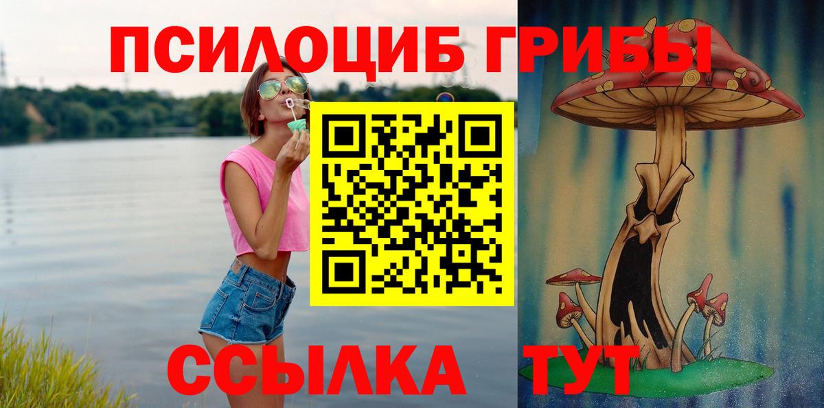 Псилоцибиновые грибы Psilocybe Ухта